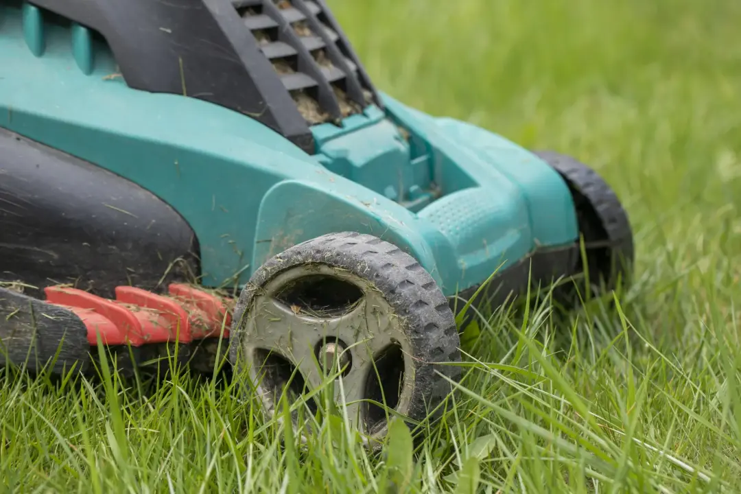 Top Features to Look for in a Rotary Lawn Mower