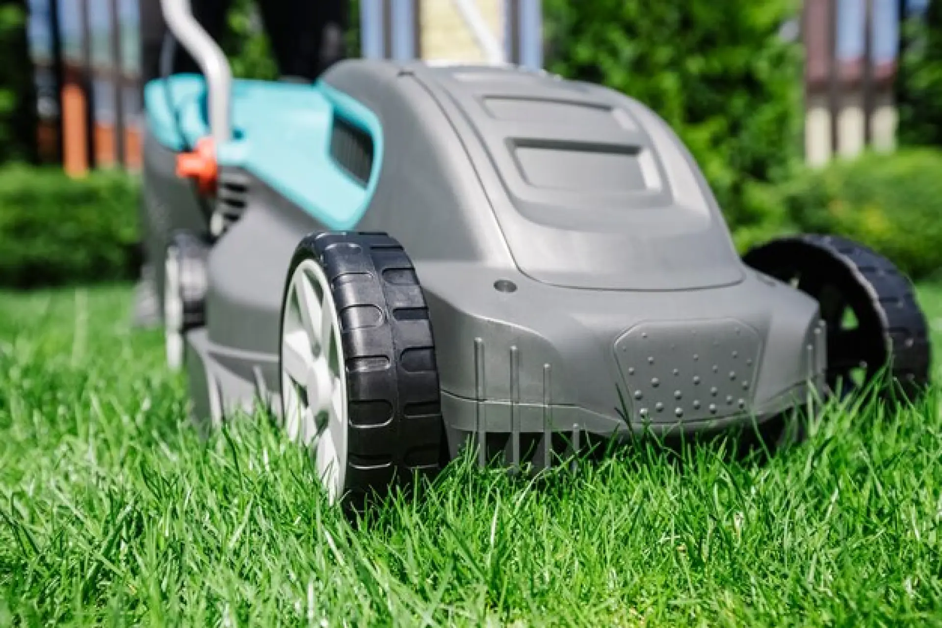 Signs You Are Mowing Too Often or Too Little