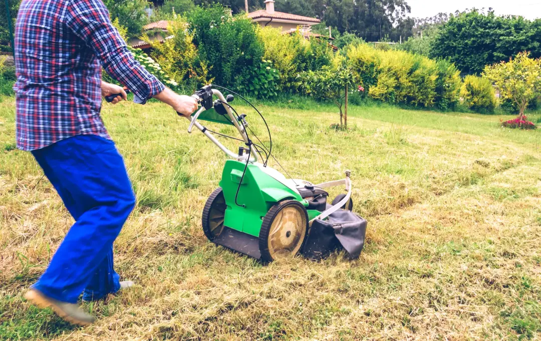Why Rotary Mowers Are Ideal for Most Garden Types