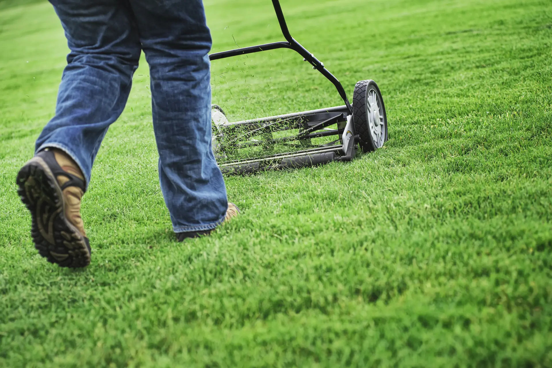 Sharpen the Blades - Keep Your Lawnmower Running Smoothly