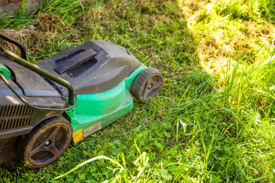 Top Features to Look for in a Rotary Lawn Mower