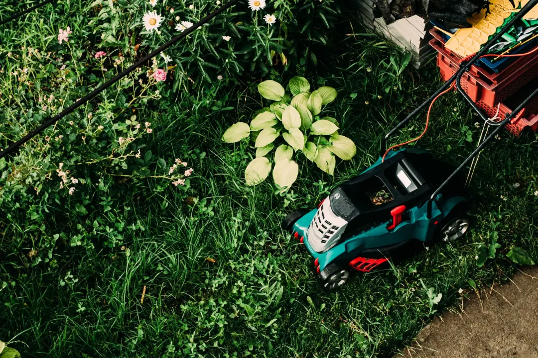 Electric vs Petrol Rotary Mowers
