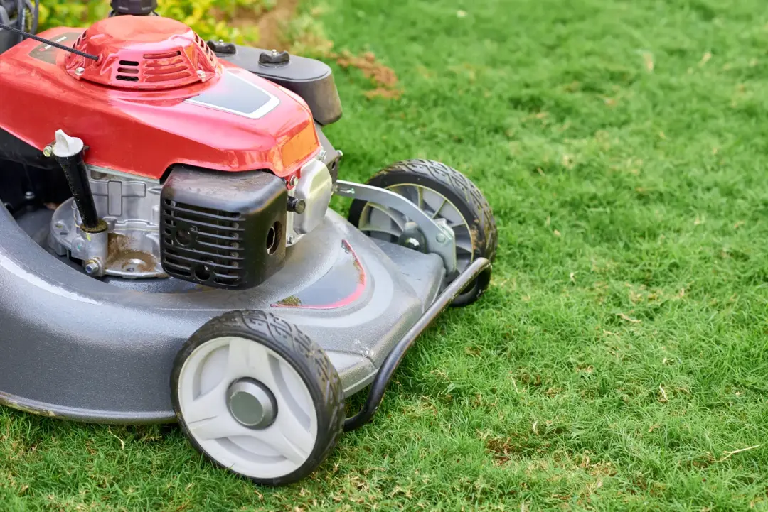 Saves You Money - Why Regular Garden Machinery Servicing Is Important