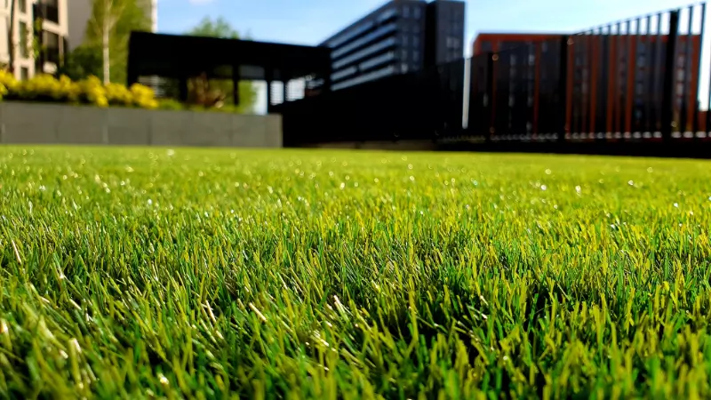 How Do I Aerate My Lawn How Do I Aerate My Lawn