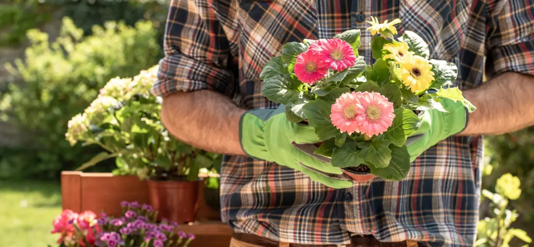 What Should I Do Everyday In My Garden