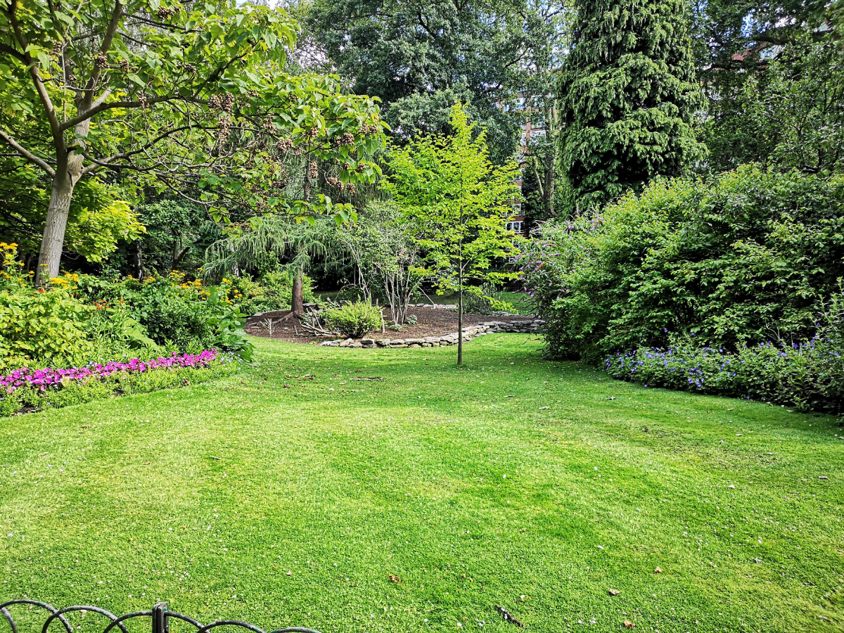Do I Need a Riding Mower?