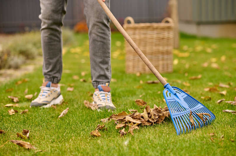 Bow Rake - Common Garden Tools And Machinery