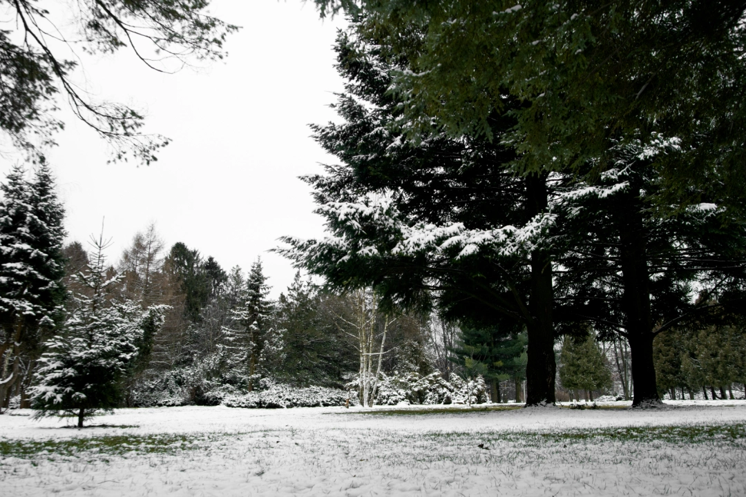 How to Prepare and Store Your Lawn Mower for Winter