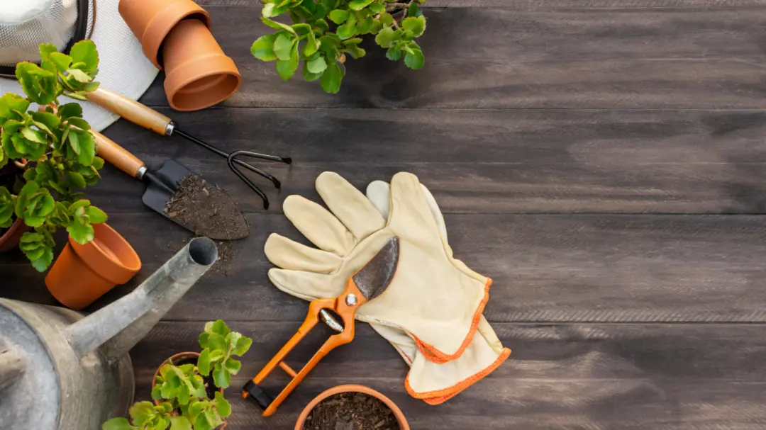 What Is Organic Gardening And Why Is It Done? Garden Machinery Suppliers Northampton and Northamptonshire