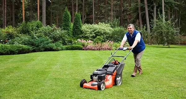 Lawnmower Spare Parts in Northampton and Northamptonshire 