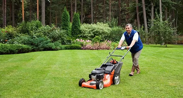Lawnmower Spare Parts in Northampton and Northamptonshire