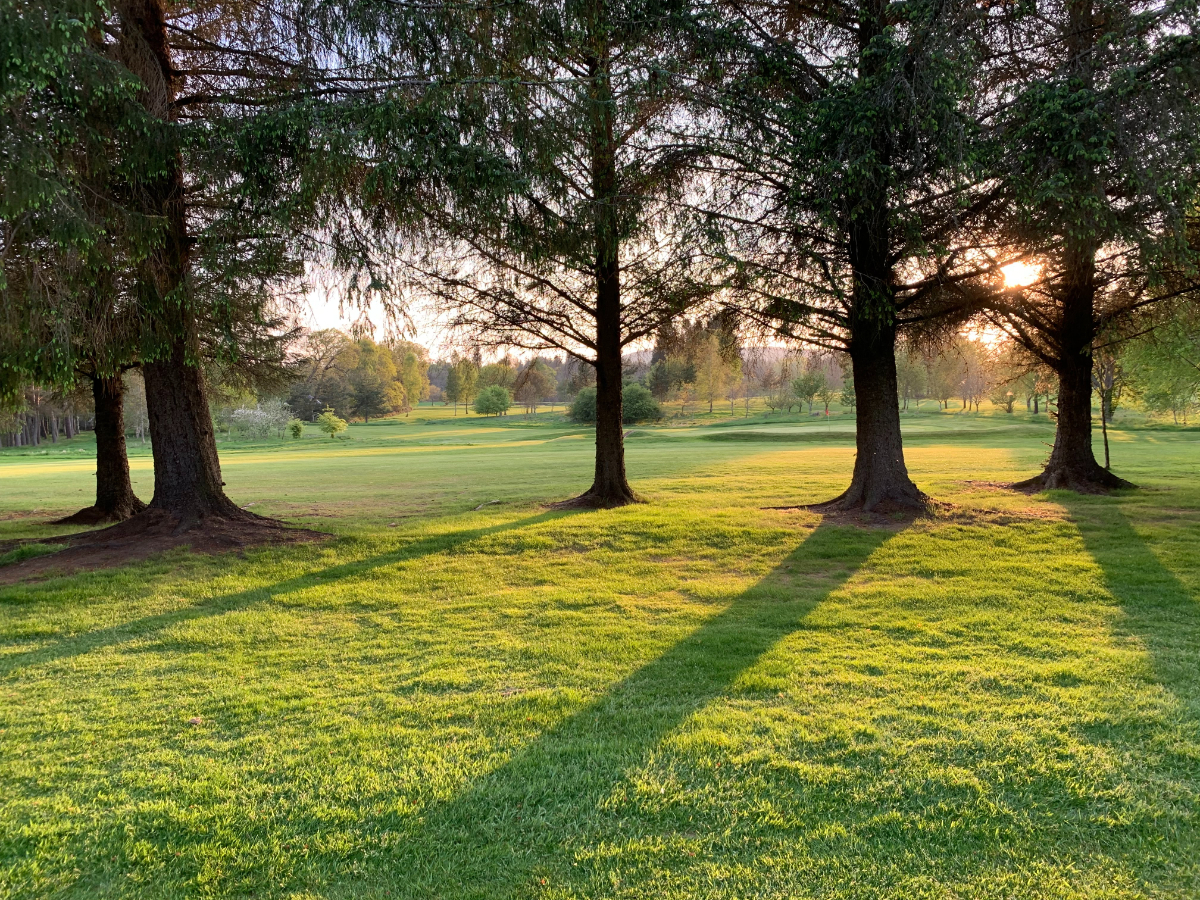 What Is The Best Way To Treat Your Lawn What Is The Best Way To Treat Your Lawn