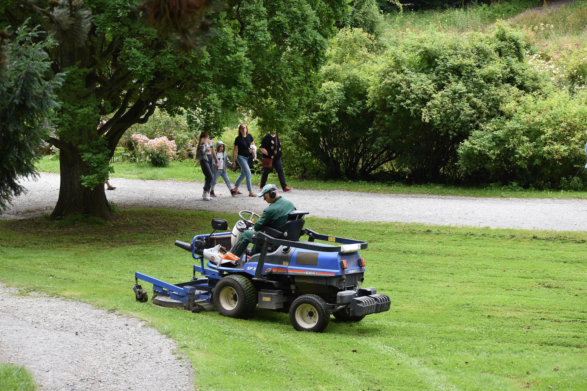 Considerations When Purchasing a Ride-On Lawn Mower